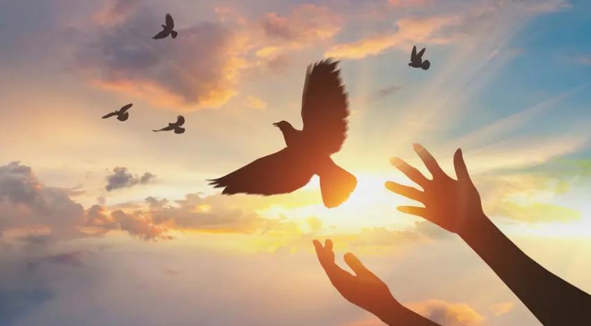 高考前压力大睡不着,孩子高考前睡不着怎么办