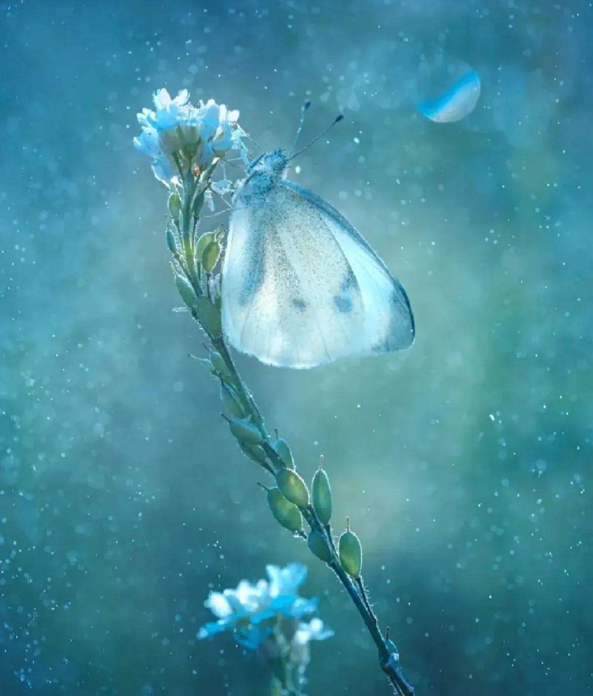 刷新闻赚了300元，详细步骤介绍，特别适合新手