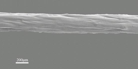 鉴别黑心棉的有效简单方法,如何有效的辨别黑心棉