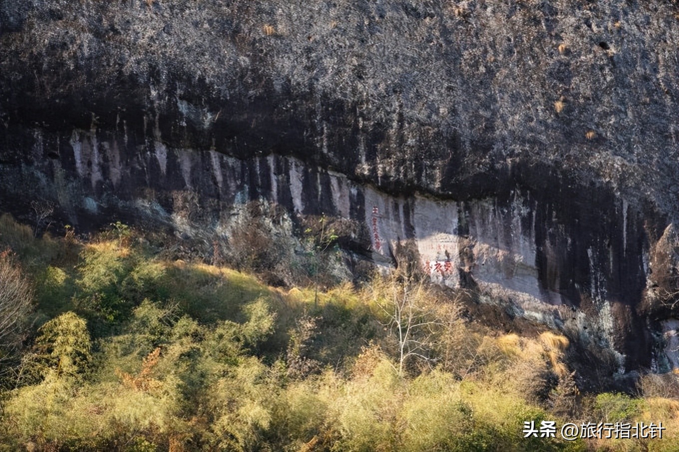 福建旅游攻略武夷山,福建武夷山旅游攻略一日游