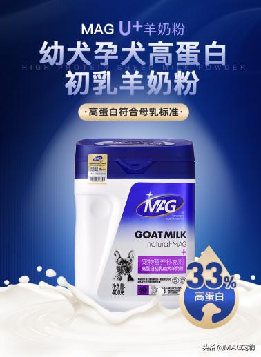 刚出生的小猫没有羊奶粉要喂什么,刚出生的小猫喂羊奶粉应该怎么喂