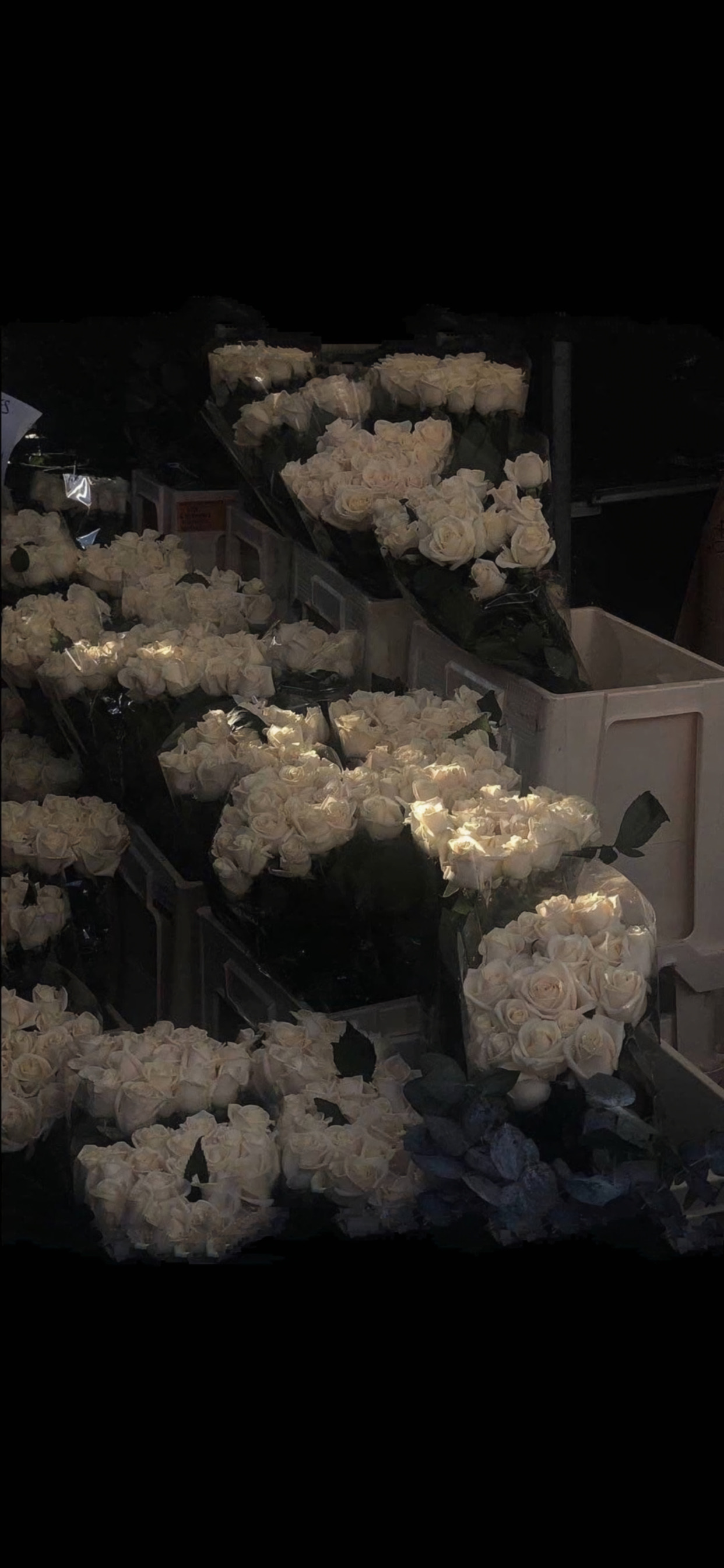 新年福禄寿喜财壁纸图片大全,平安喜乐诸事顺利岁岁平安壁纸