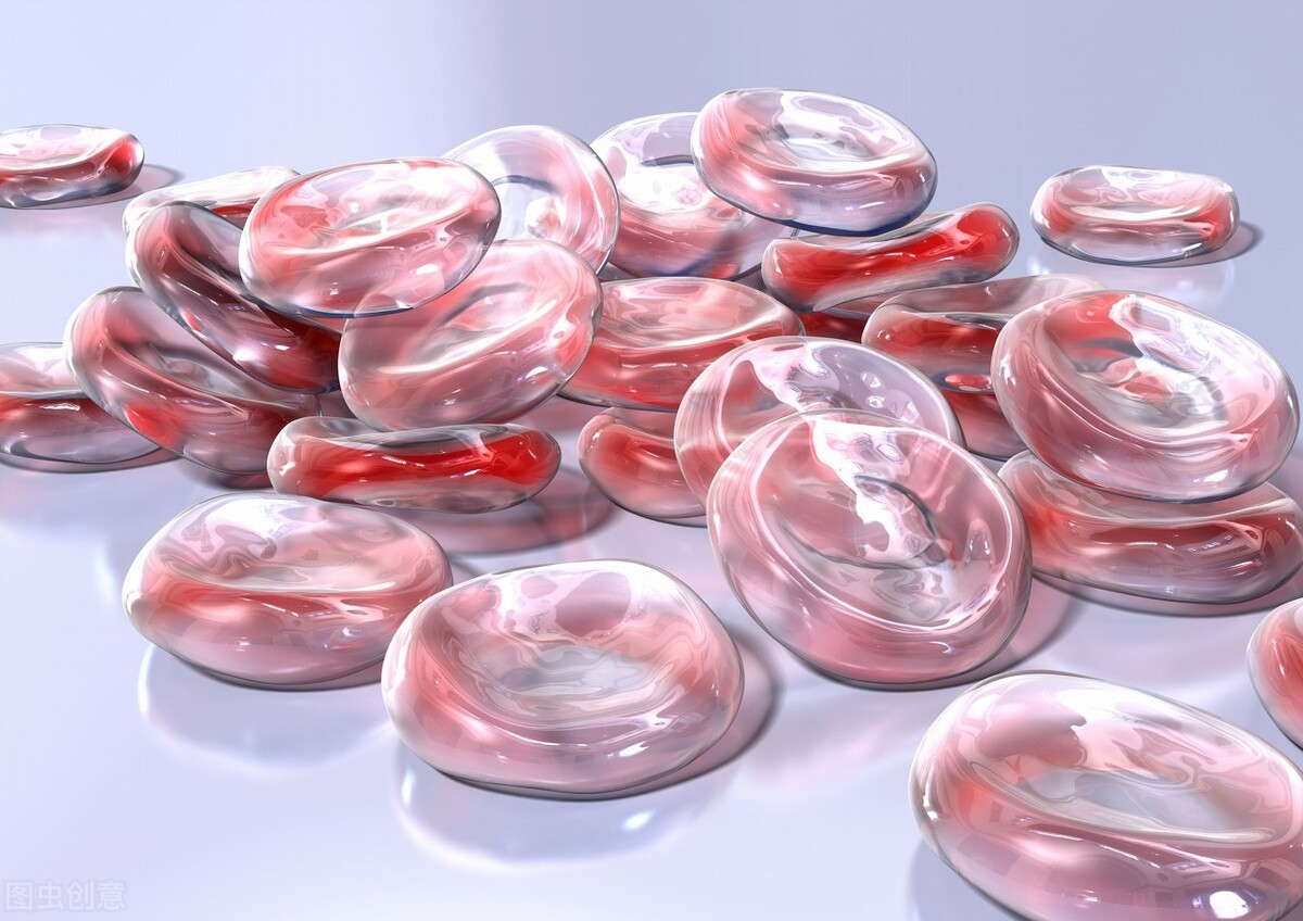 一文教会你看懂血检报告