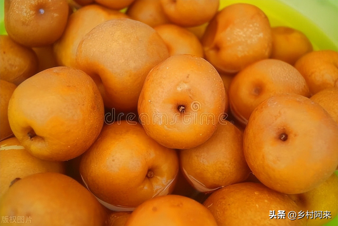 梨农村品种,农村最常见的梨子品种