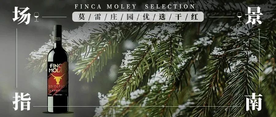 足球嘉年华吃喝,足球狂欢夜酒水零食