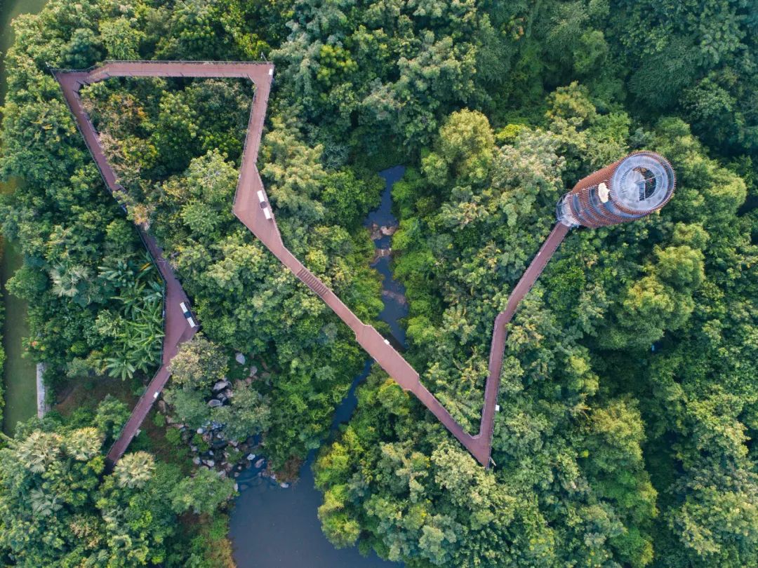 4999去泰国看建筑节，与WOHA创始人面对面！