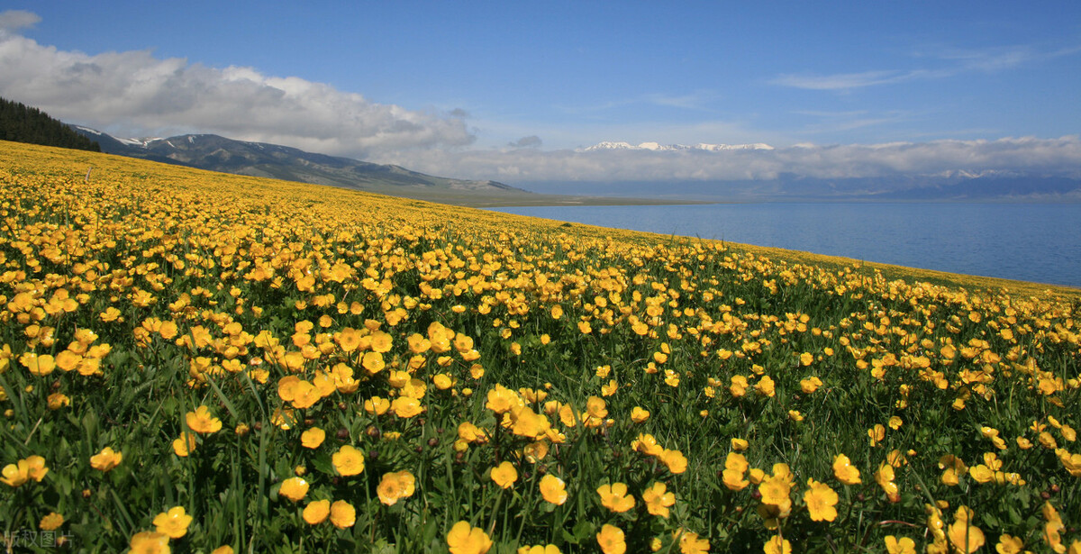 不到*疆新**，不知中国之大，不包邮的*疆新**到底有多大？