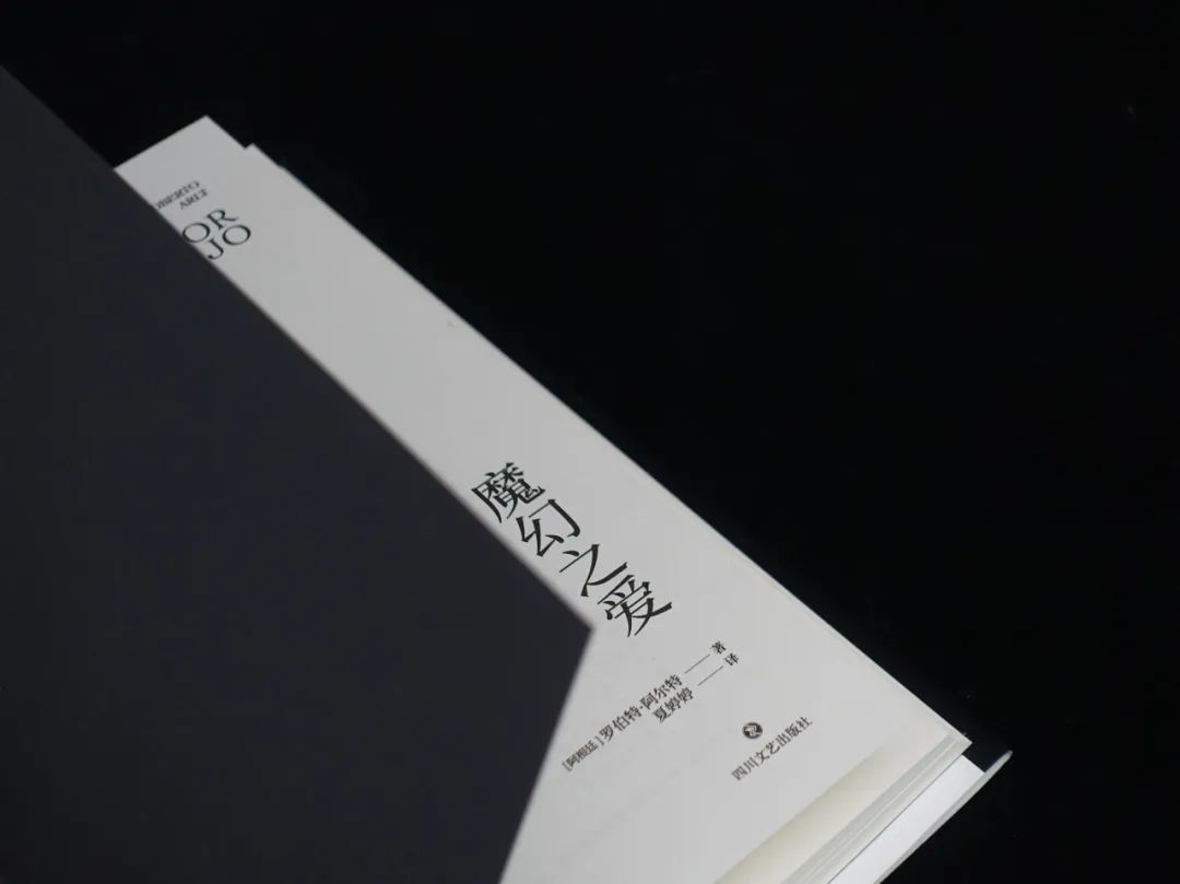 “阿根廷的陀思妥耶夫斯基”阿尔特小说收官之作《魔幻之爱》