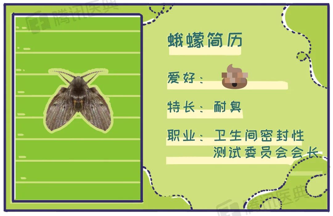 家里有很多黑色小飞虫是什么原因,家里总有黑色小飞虫怎么解决