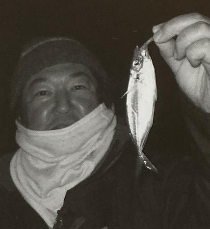 竹荚鱼钓法日本一年吃几亿条日本专业海钓入门防波堤钓书籍