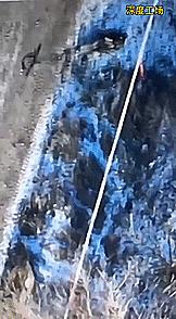 俄军击退乌军多次进攻凸显了什么,不畏生死冲锋