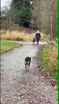 为什么要叫月经大姨妈,为什么说月经是大姨妈