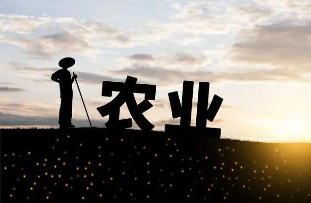 资本下乡能干什么,三农政策对三农的好处