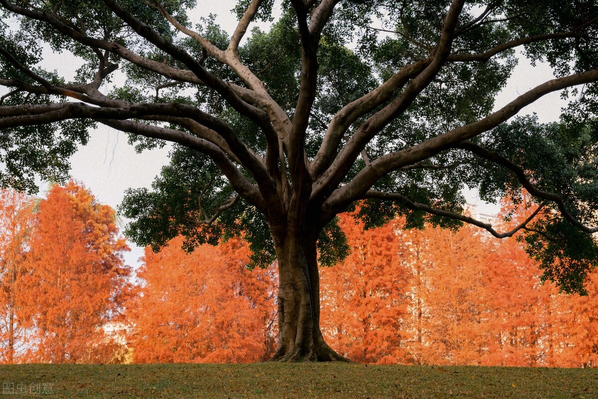 厦门旅游攻略必去的十个地方,厦门旅游攻略几个不错的地方必去