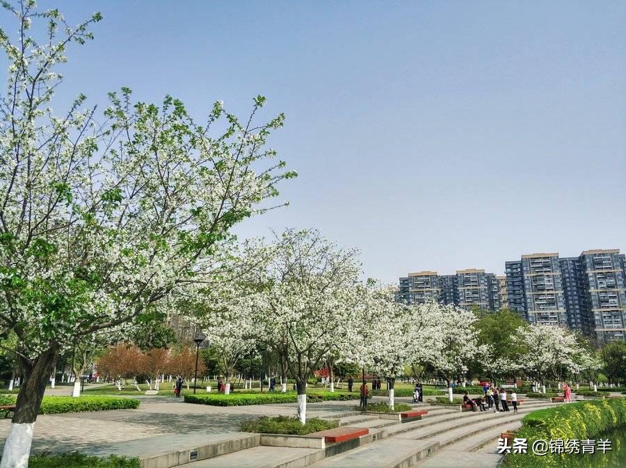 青羊区最美公园景点在哪里,5月份成都市区最美公园