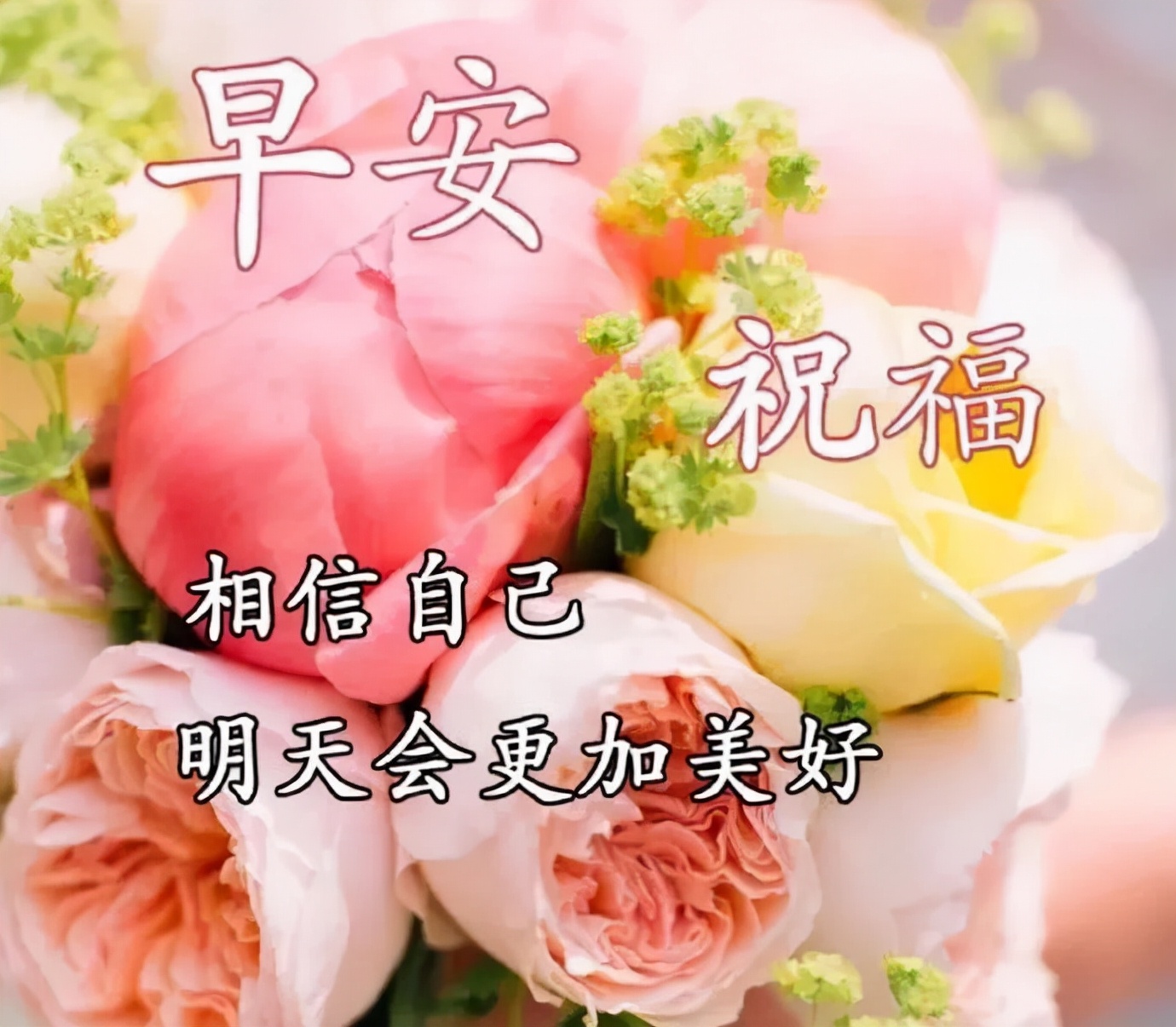 早安春分的祝福图片,今日春分早安心语