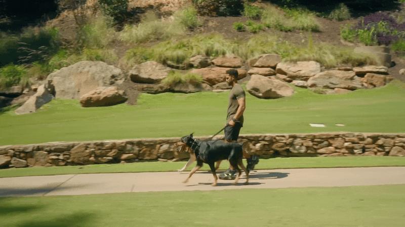 世界上能让你跑的最快的鞋,世界上跑得最快的3种鞋