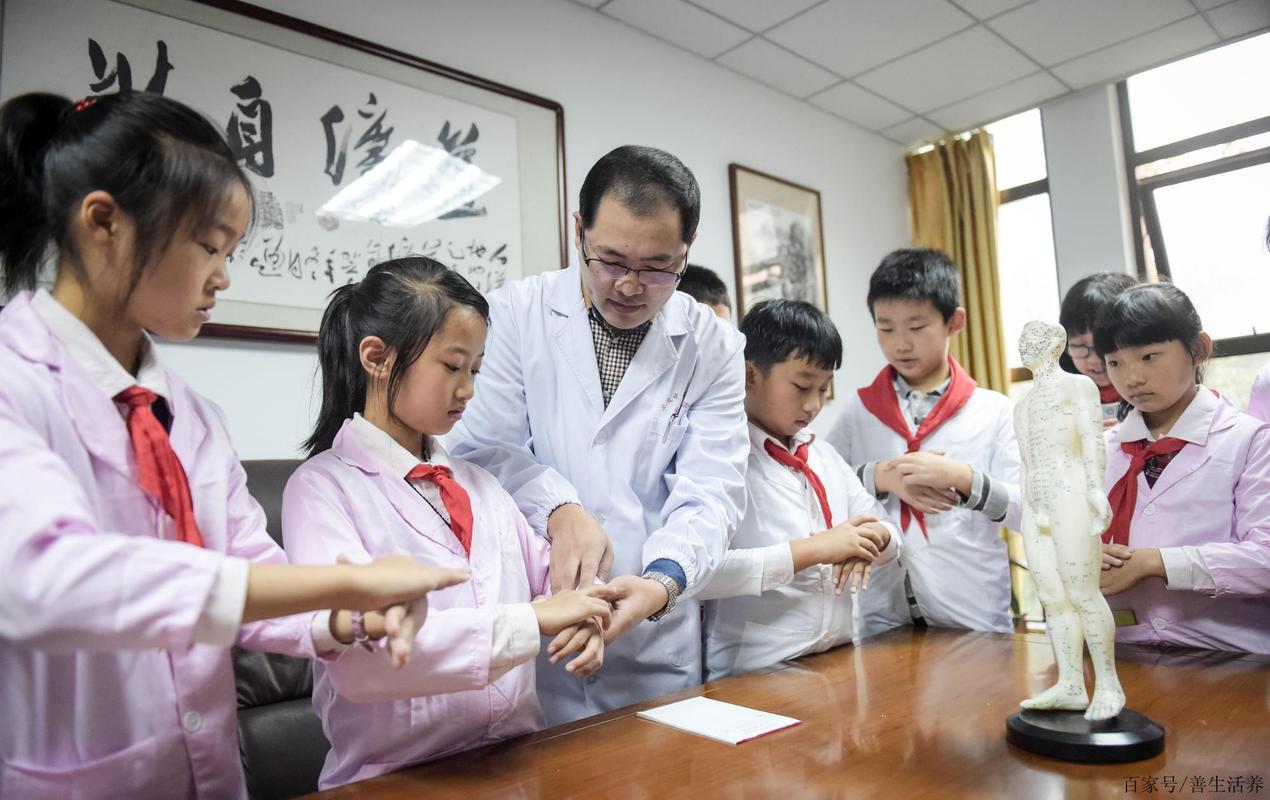 传承中医瑰宝,中医如何传承千年智慧