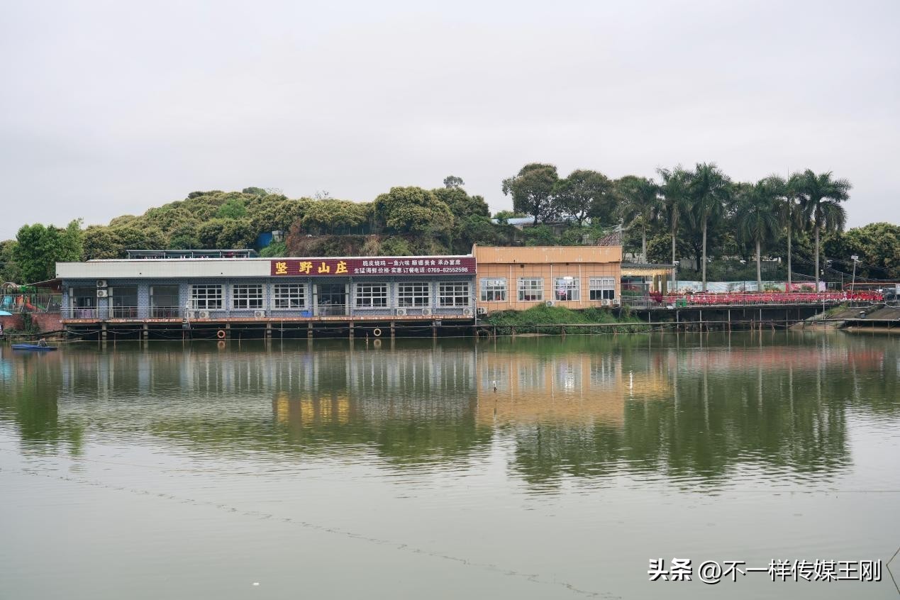 在东莞享顺德美食，记顺德坚野山庄第二分店正式开业