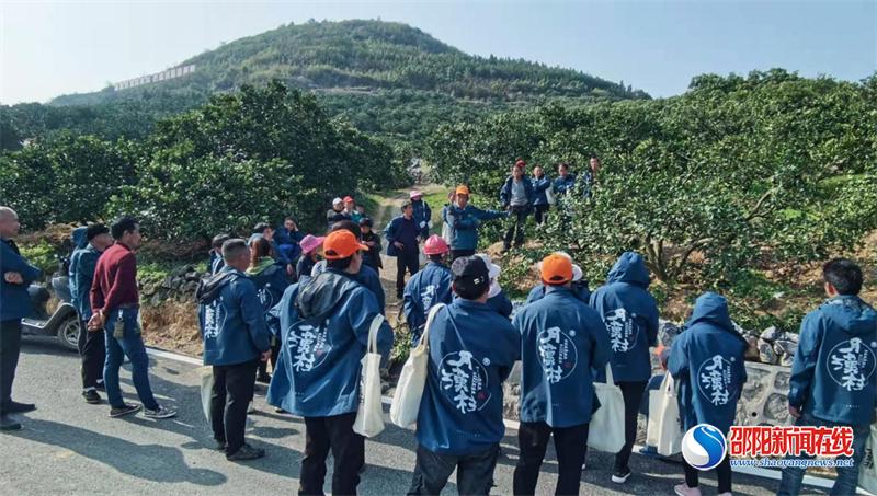 新宁龙丰果业,新宁县月汉村脐橙文化