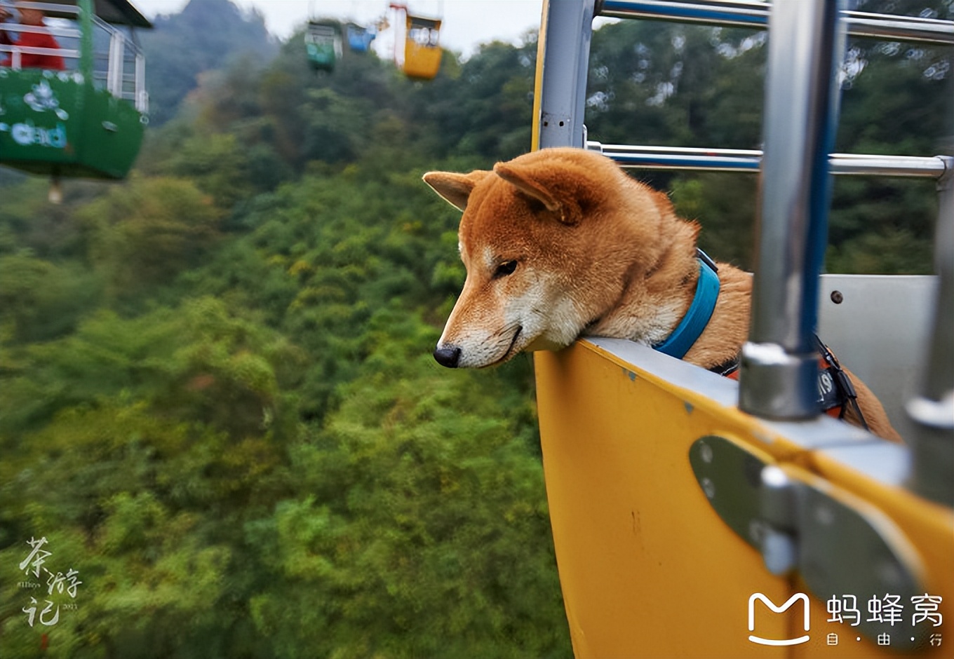 都江堰青城山路线攻略,都江堰青城山交通攻略