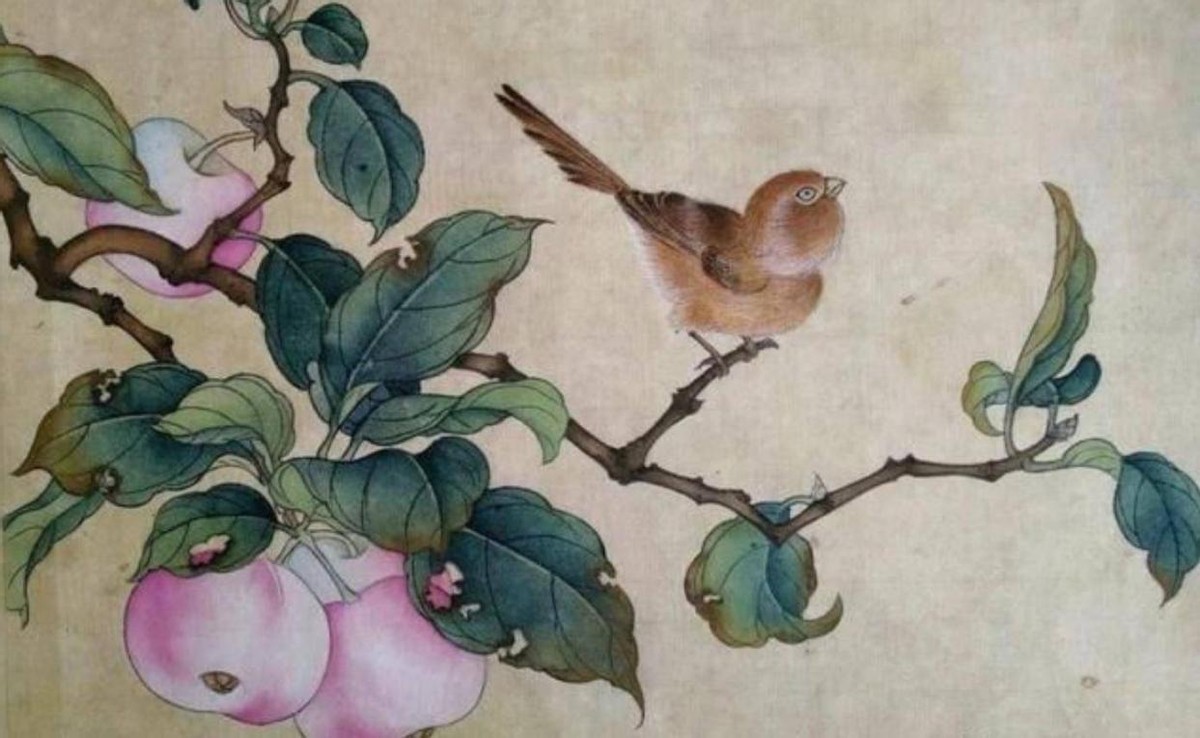 苹果在中国古代叫什么名字,有趣的苹果名称古代