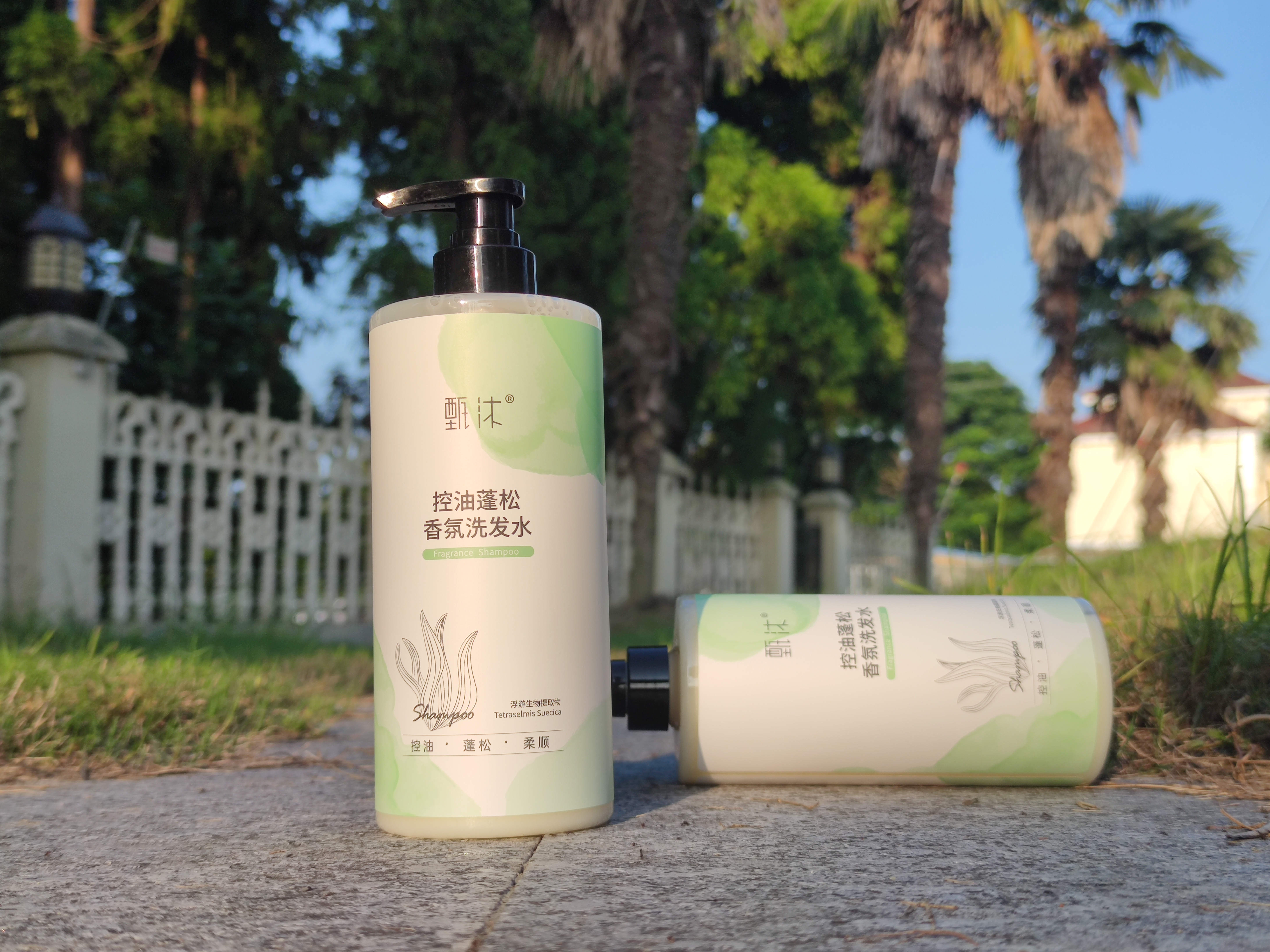 甄沐洗发水好不好,甄沐洗发水新品