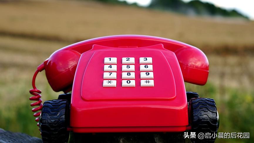 高考到底怎么填报适合自己的专业,你们高考的专业都是怎么选的