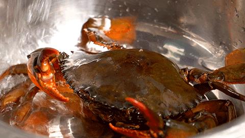 正宗鼓浪屿美食,鼓浪屿正宗闽南菜