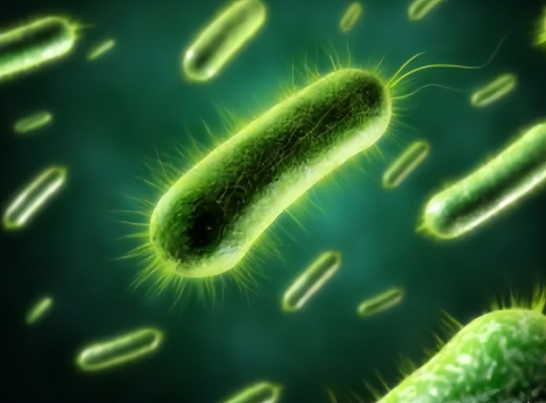 为啥很多人会长“肛毛”？可以直接用手拔掉吗？看完涨知识了