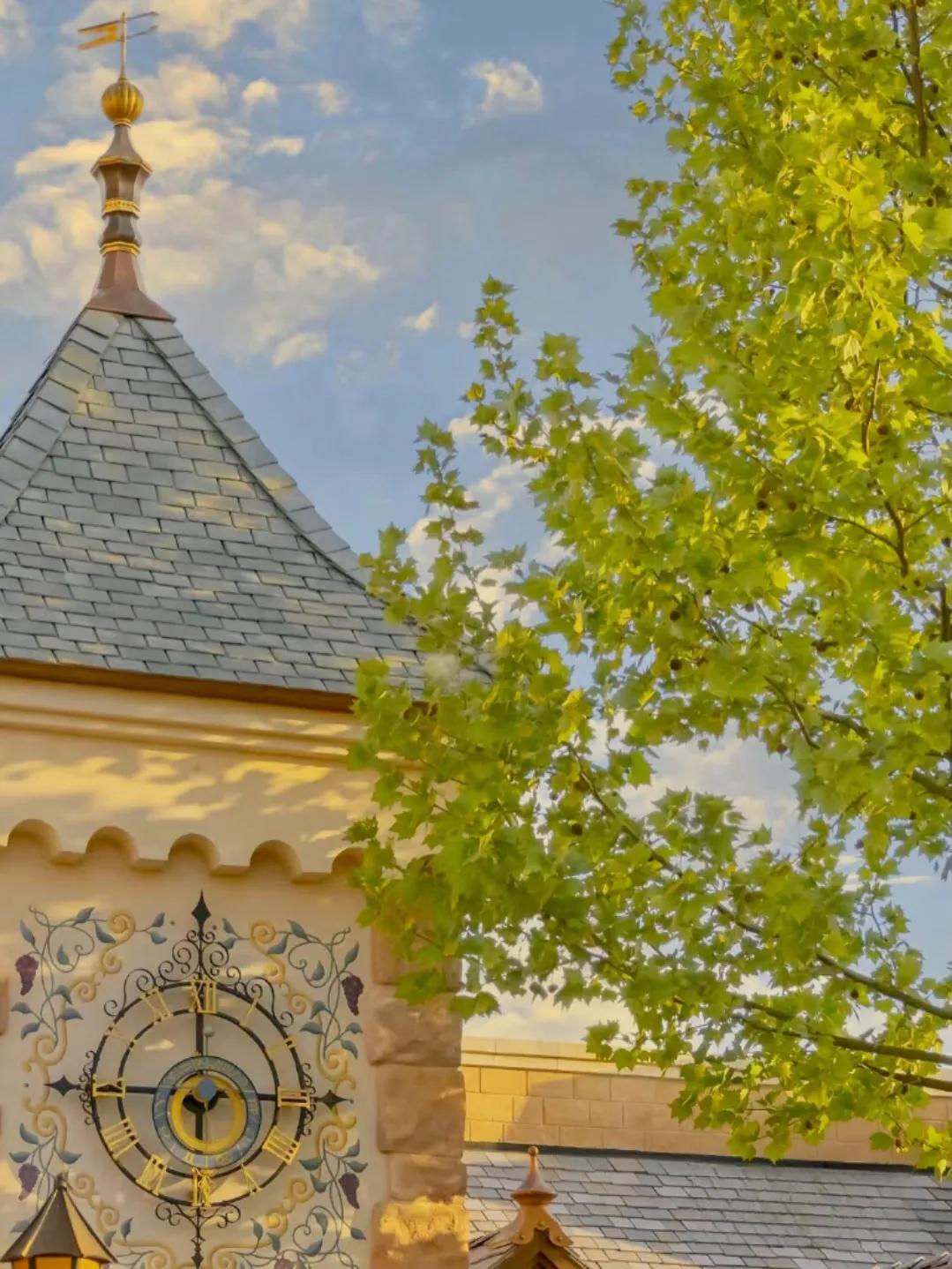 青岛不起眼高薪行业,高薪又稀缺却鲜为人知的职业