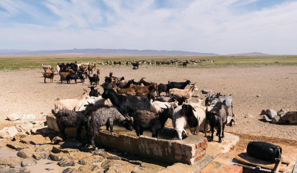 蒙古国从草原变成荒漠,蒙古国离开中国后的发展