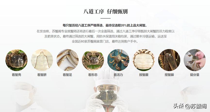 100块一只的大闸蟹是什么规格,100块的超大大闸蟹