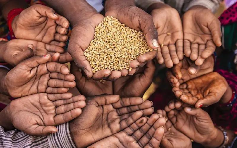 美国粮食给中国带来的需求,为什么美国宁愿赔钱也要出口粮食