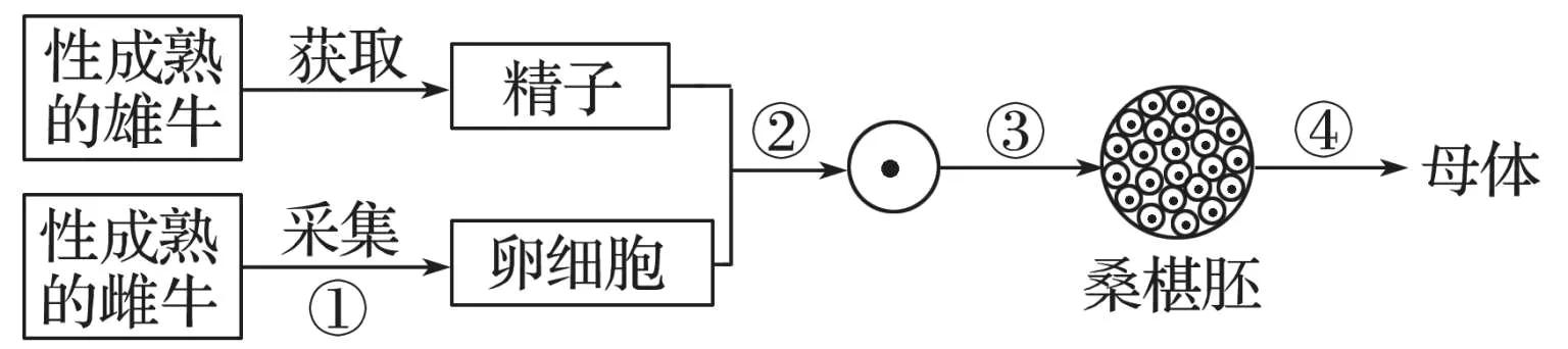 高中生物细胞工程知识点归纳,高二细胞工程的易错点
