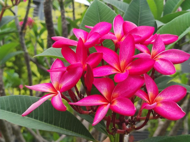 苟日新，日日新，又日新,24。做一个坚持不懈的践行者。