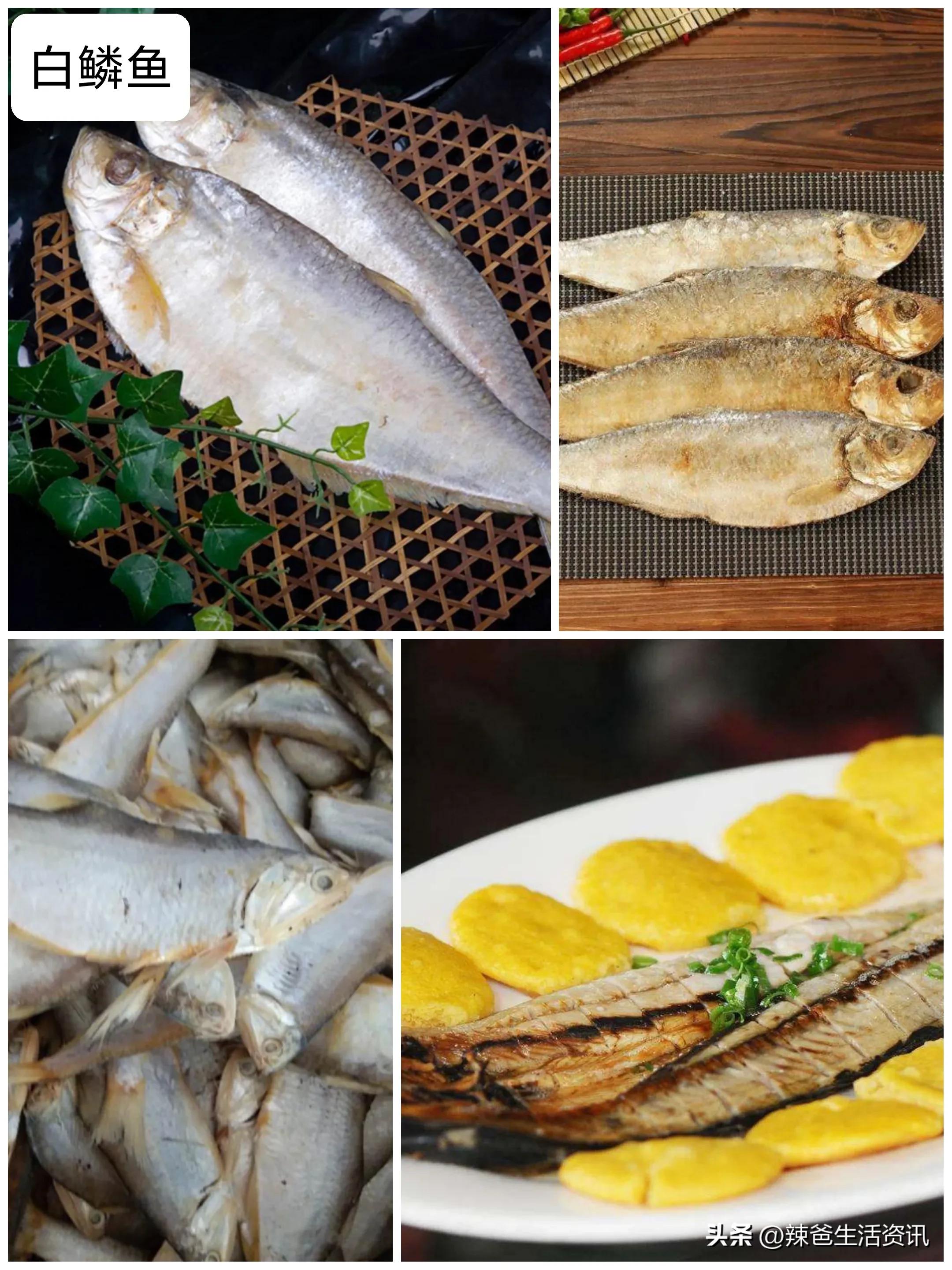 好吃不贵的野生海鱼,口感和多宝鱼一样的野生海鱼