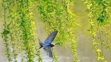 山中送别古诗词,支教送别古诗词