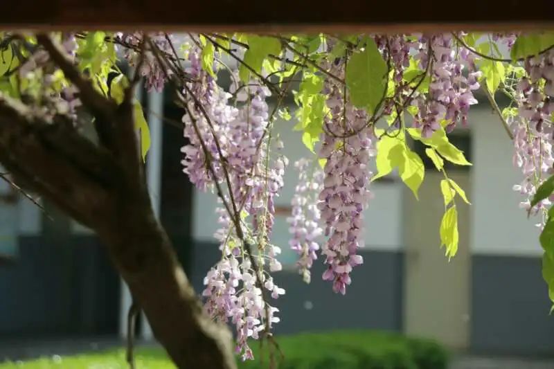 太原五中2021特长生招生简章,太原市成成中学体育特长是什么