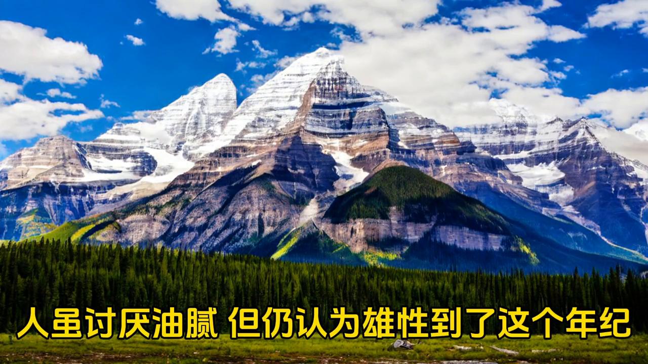 感悟原唱,感悟人生图片