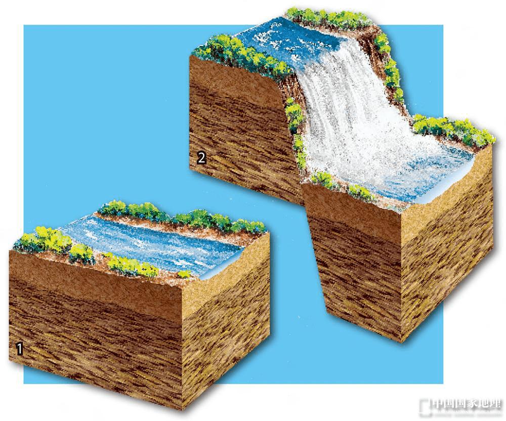 Ta的最佳观赏期到了,这个夏天安排上!