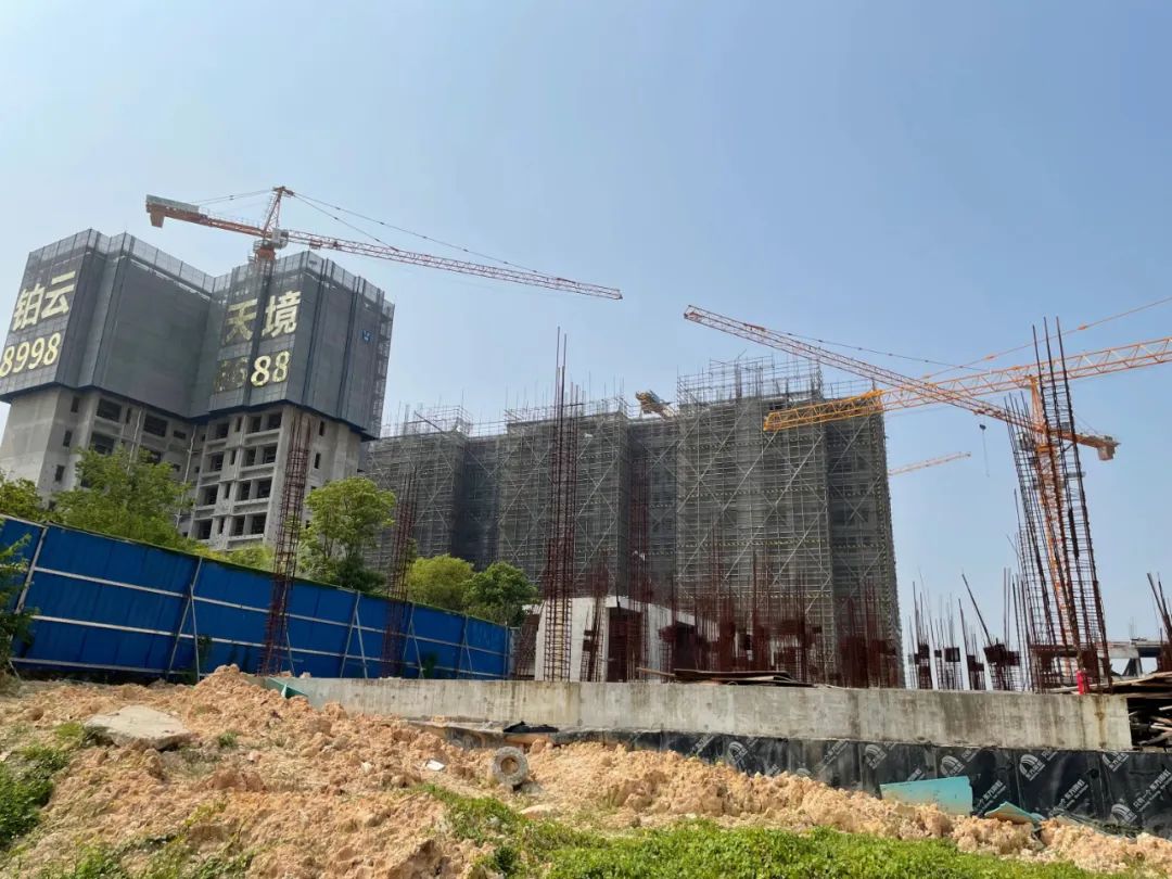 钟落潭最近活动,一夜爆火的钟落潭