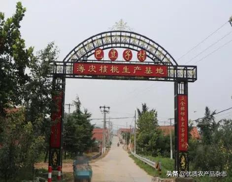 大田薄皮核桃,薄皮核桃小核桃