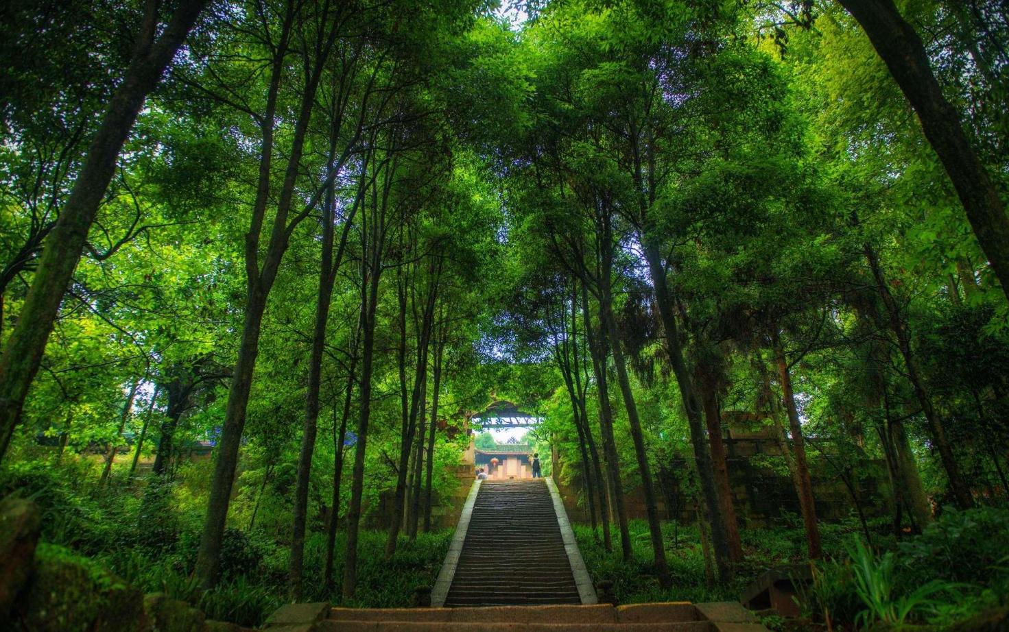 旅游必去景点十大名山,国内五大名山哪个最值得去
