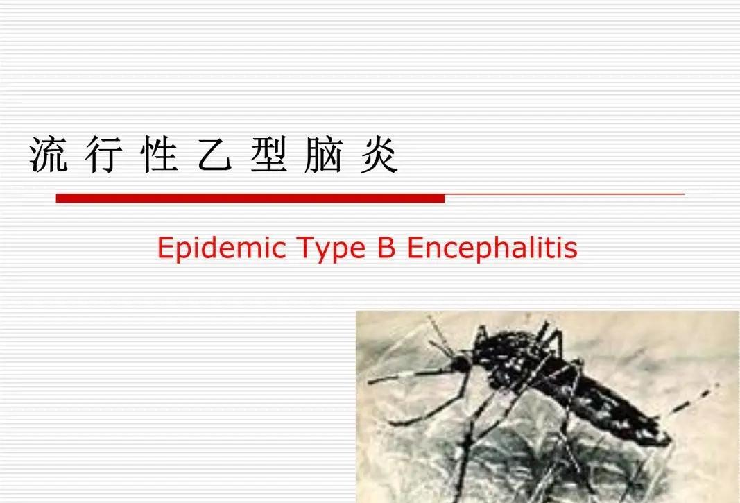 电蚊香对蚕蛾有害吗,电蚊香对脑神经有危害吗