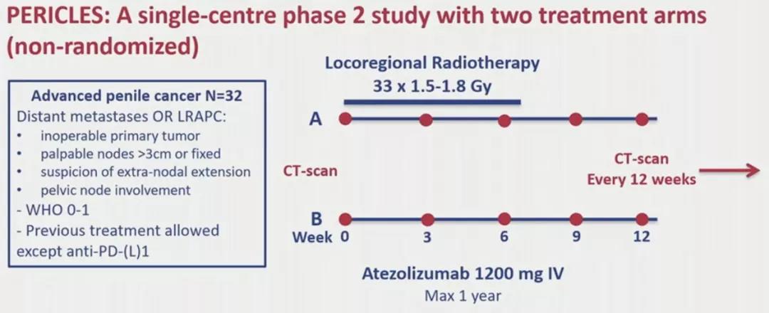 ASCO-GU2022丨首个阴茎鳞癌的免疫治疗Ⅱ期研究报道