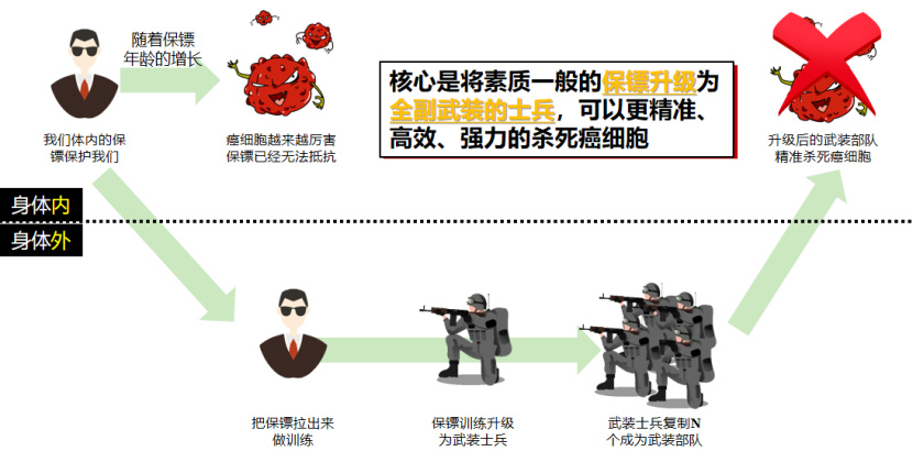 华美浩联CAR-T治疗权益卡,综合版正式上线