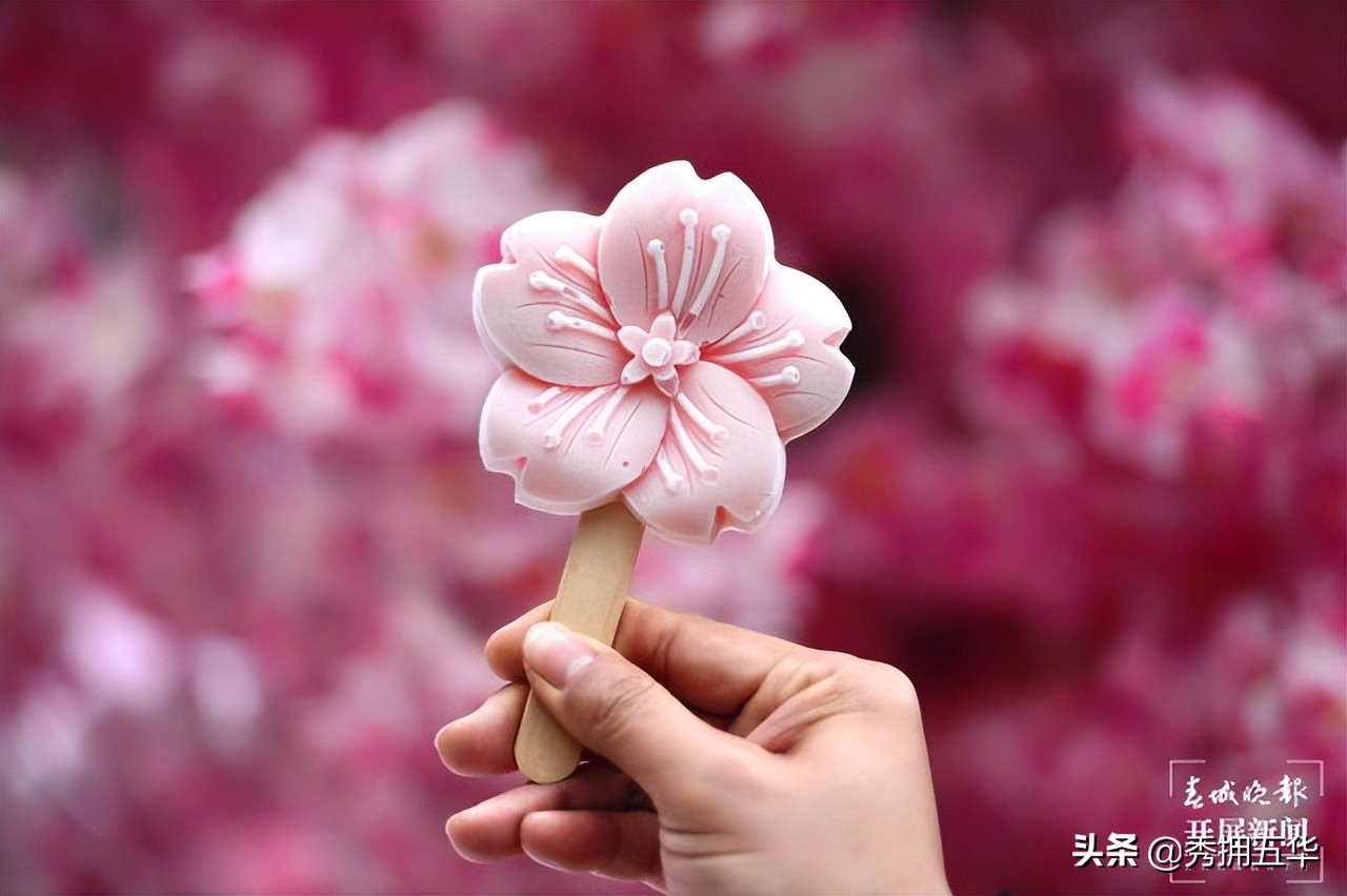 昆明5号线攻略,昆明5号线路线详细时间