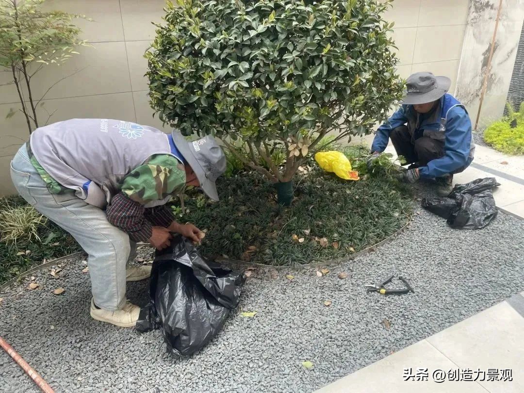 “满园春色”老客户回访日——最美人间四月天，不负*光春**不负你