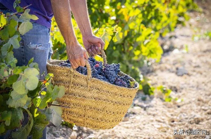 西班牙葡萄酒产区大全,西班牙十大葡萄酒品牌大全